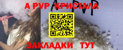 тгк Кингисепп
