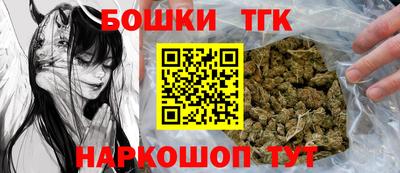 тгк Кингисепп