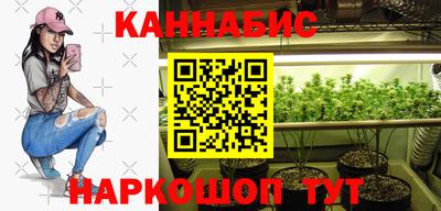 тгк Кингисепп