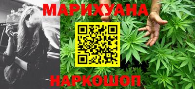 тгк Кингисепп