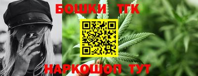 тгк Кингисепп