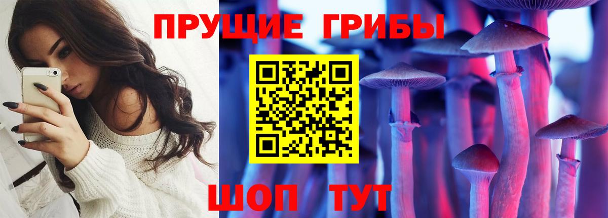 Галлюциногенные грибы Psilocybine cubensis Дагестанские Огни